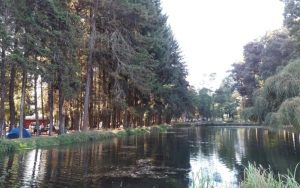 Arranca el verano en el renovado Camping de Puente Perales